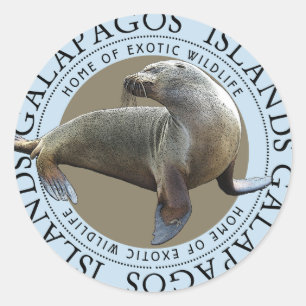 Galapagos Inseln Siegel Seelöwen Runder Aufkleber