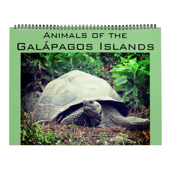 Galapagos Inseln Tiere 2025 groß Kalender (Titelbild)