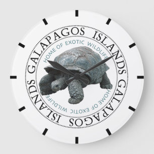 Galapagos Inseln Tortoise Große Wanduhr
