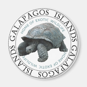 Galapagos Inseln Tortoise Magnet