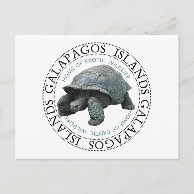 Galapagos Inseln Tortoise Postkarte (Vorderseite)