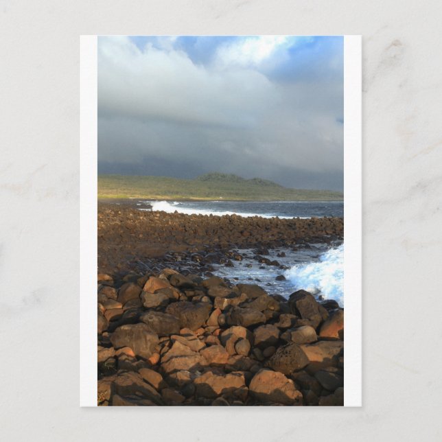 Galapagos-Inseln Vulkanküste Postkarte (Vorderseite)