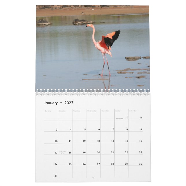 Galapagos-Kalender Kalender (Jan 2027)