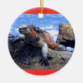 Galapagos Keramikornament