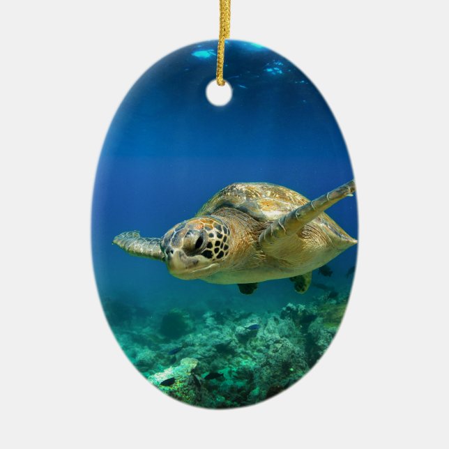 Galapagos-Paradies, grüne Meeresschildkröte unter  Keramikornament (Vorne)