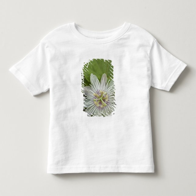 Galapagos Passion Blume Passiflora foetida Kleinkind T-shirt (Vorderseite)