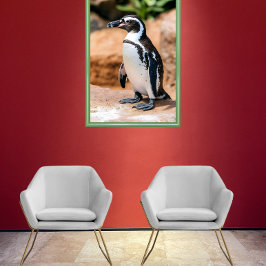 Galapagos-Pinguin Poster