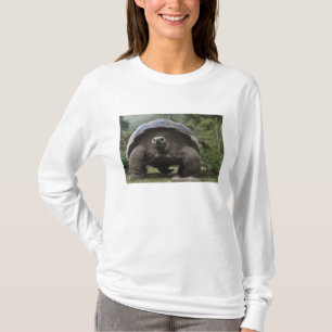 Galapagos-Riesenschildkröten Geochelone T-Shirt