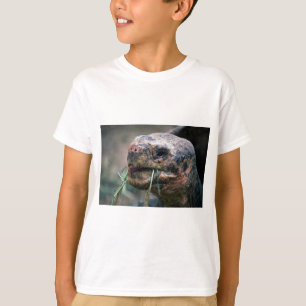 Galapagos-Schildkröte, Galapagos-Inseln T-Shirt