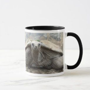 Galapagos-Schildkröten-Tasse Tasse
