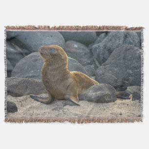 Galapagos-Seelöwe Decke