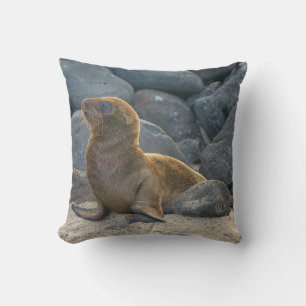 Galapagos-Seelöwe Kissen