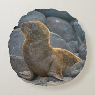 Galapagos-Seelöwe Rundes Kissen