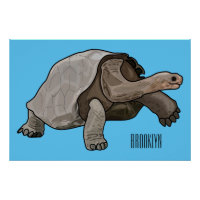 Galapagos-Tortoise-Cartoon