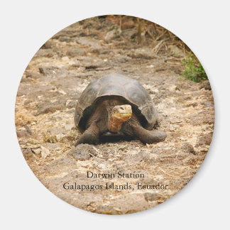Galapagos Tortoise Magnet