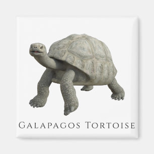 Galapagos Tortoise Magnet
