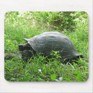 Galápagos Tortoise Mousepad