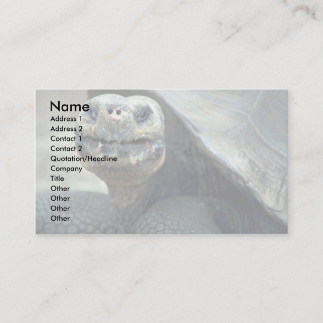 Galapagos Tortoise Visitenkarte (Vorderseite)