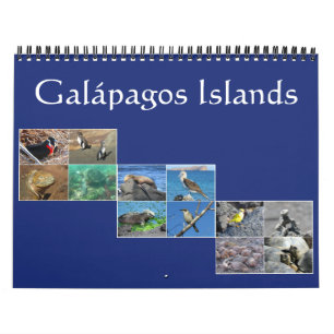 galapagos wildlife 2025 kalender