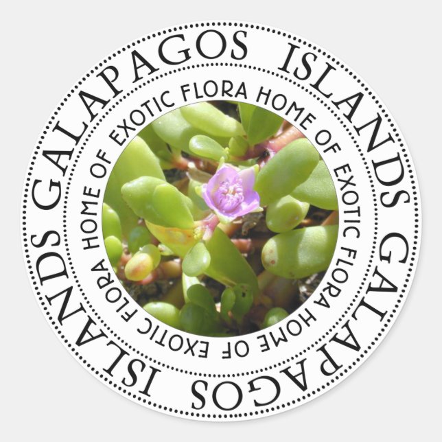 Galapgaos Inseln Sesuvium Sea Purslane Stickers (Vorderseite)