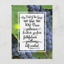 Galaten 5:22-23 Die Frucht des Geistes