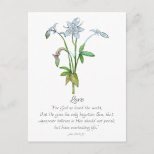 Galater Frucht des Geistes Liebe Johannes 3 16  Postkarte