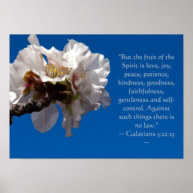 Galates 5:22,23 Poster (Devant)