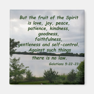 Galatians 5:22 - 23 magnet
