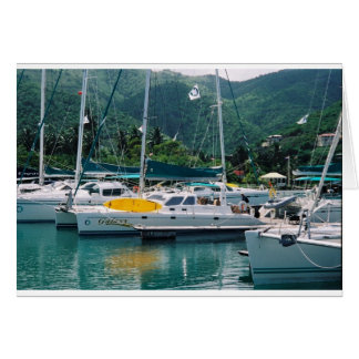 Galaxie in Nanny Cay-Tortola