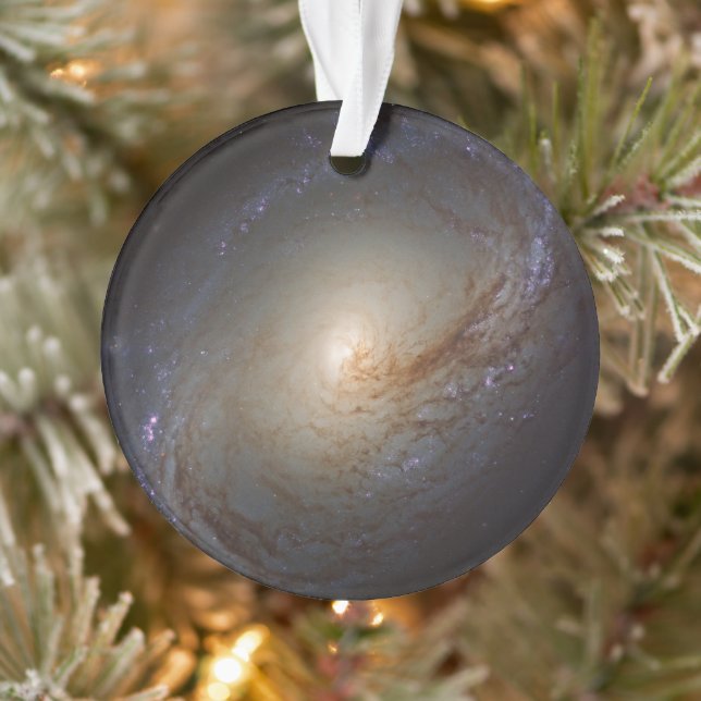 Galaxie Lenticulaire Barrée Ngc 3368 (Arbre)