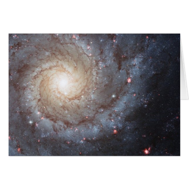 Galaxie spirale M74 (Devant horizontal)