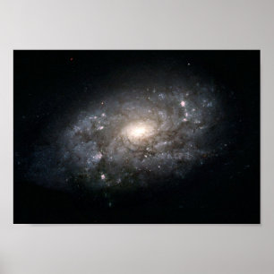 Galaxy NGC 3949: Eine Galaxie ähnlich der Milchstr Poster
