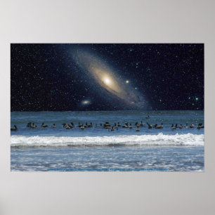 Galaxy Pelicans Poster