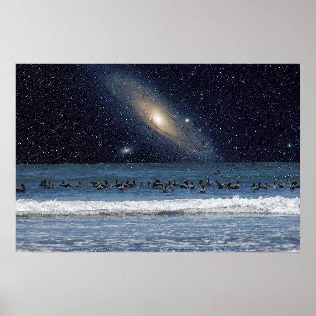 Galaxy Pelicans Poster (Vorne)