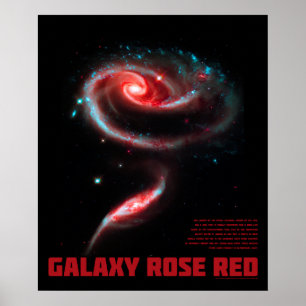 Galaxy Rose Rot Poster
