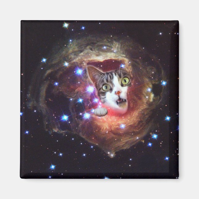 Galaxy Space Cats LOL 2 Zoll Square Magnet (Vorne)