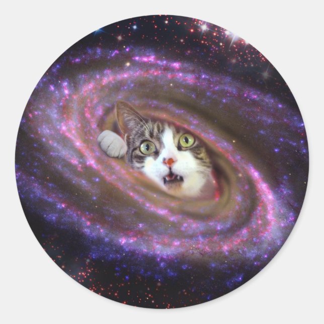Galaxy Space Cats LOL Funny Sticker (Vorderseite)