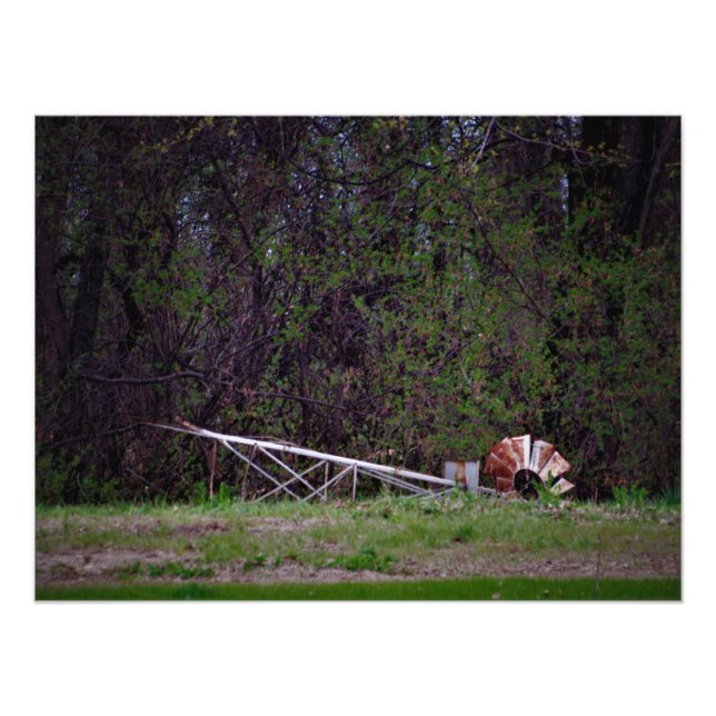 "Gale Pushed Me" Fotodruck (Vorne)