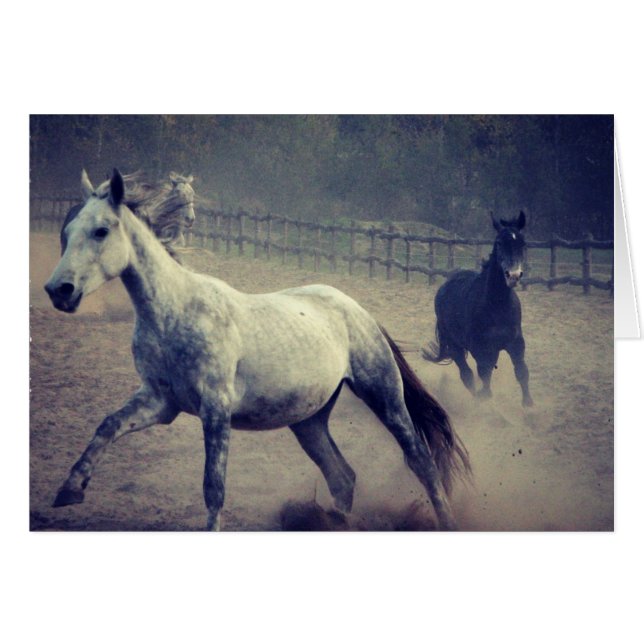 Galerie (Devant horizontal)