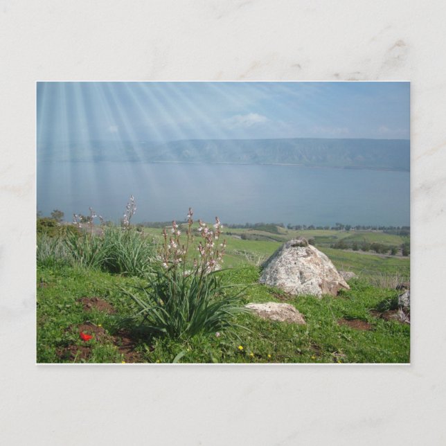 Galiläa-SeePanoramablick Postkarte (Vorderseite)