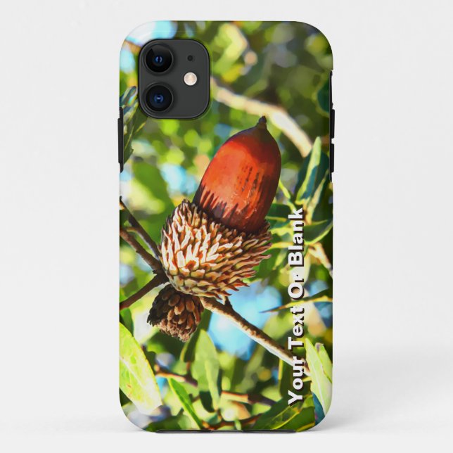 Galilee Acorn Case-Mate iPhone Hülle (Rückseite)