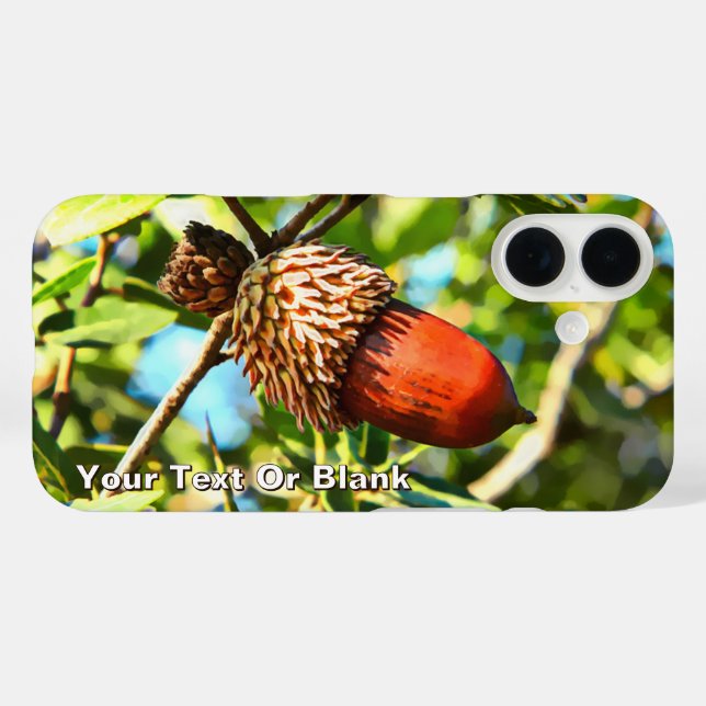 Galilee Acorn iPhone 16 Hülle (Rückseite (Horizontal))