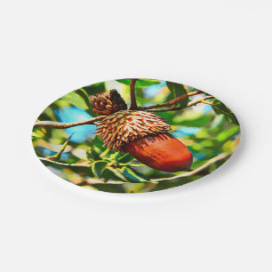 Galilee Acorn Pappteller