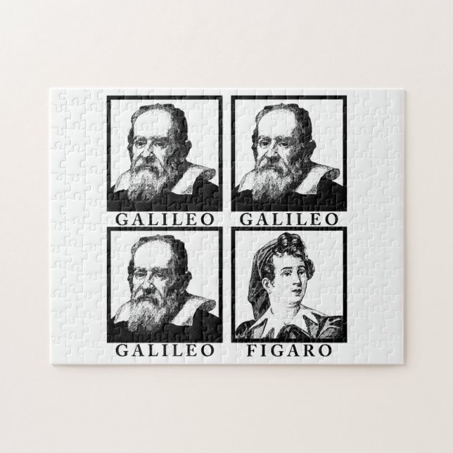 Galileo Figaro BW (Horizontal)