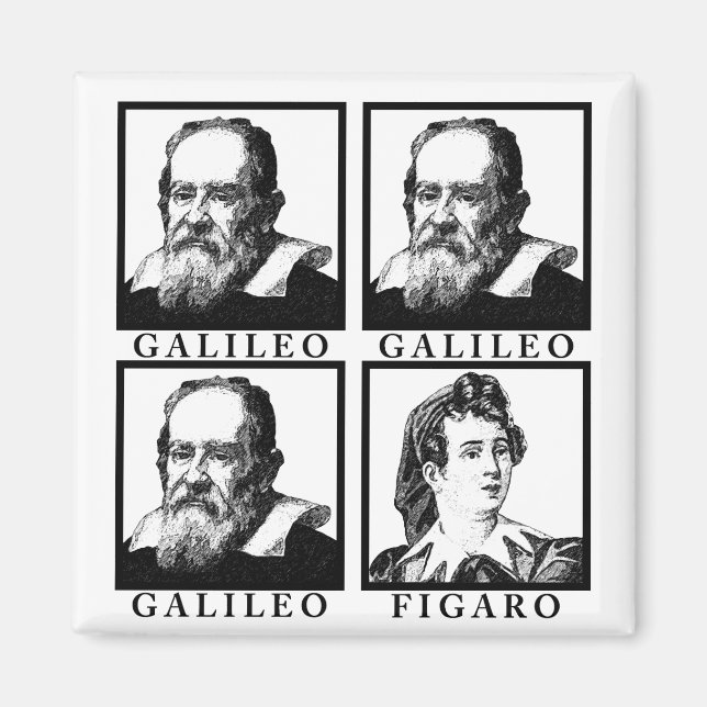 Galileo Figaro BW Magnet (Vorne)