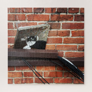 Galleenkatze