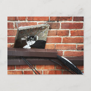 Galleenkatze Postkarte