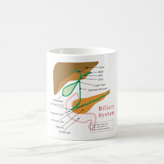 Gallensystems-Diagramm-Diagramm-Gallenweg Kaffeetasse
