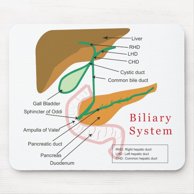 Gallensystems-Diagramm-Diagramm-Gallenweg Mousepad (Vorne)
