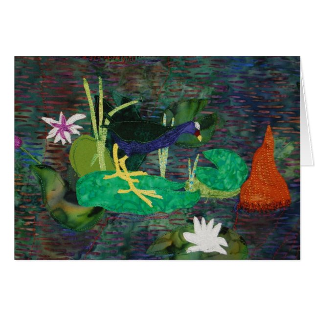 Gallinule pourpre (Devant horizontal)